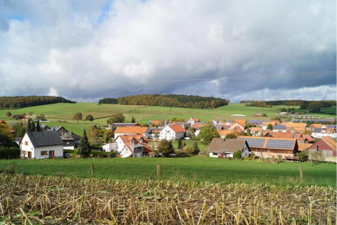 Landhaus Am Diemelsee Екстер'єр фото